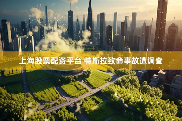 上海股票配资平台 特斯拉致命事故遭调查